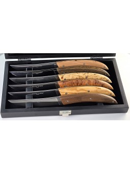 Coffret 6 couteaux CLAUDE...
