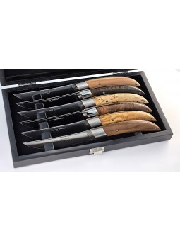 Coffret 6 couteaux CLAUDE...